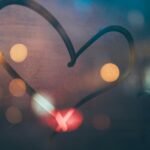 michael fenton 0ZQ8vojHNuc unsplash